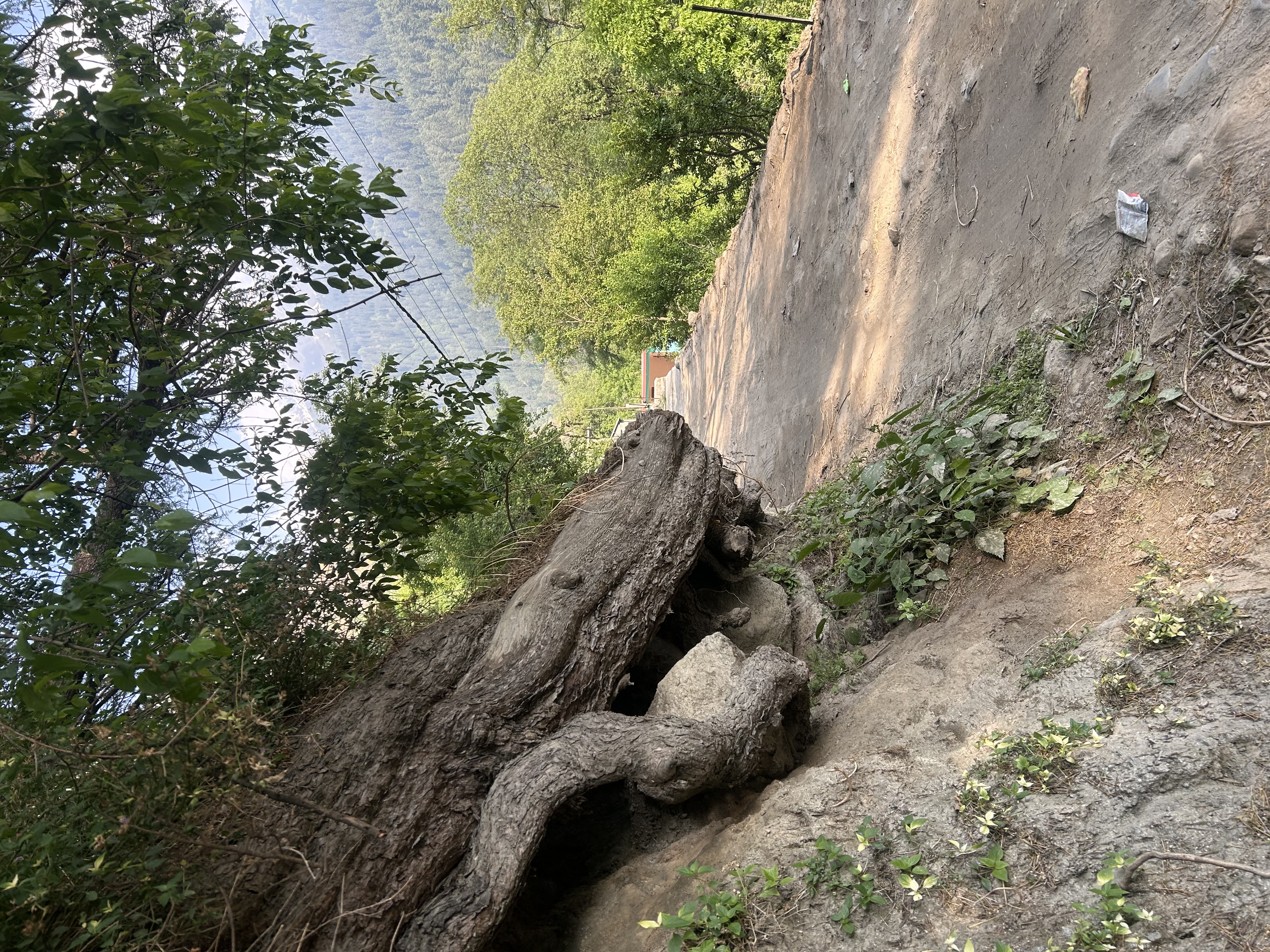 Beas river flowing through a forested Himalayan valley
